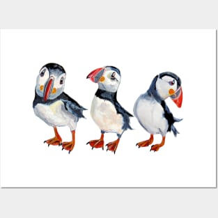 Puffins Posters and Art